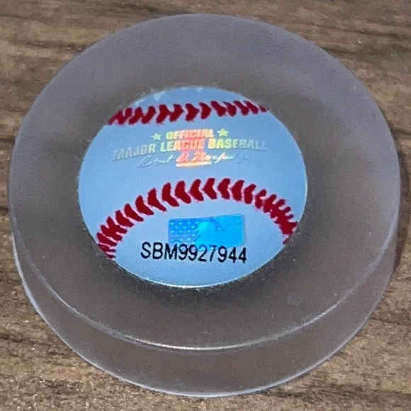 Houston Astros Commemorative 2017 World Series Champions Ring - Picture 8 of 11